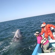 IMG 0001 2 (317)